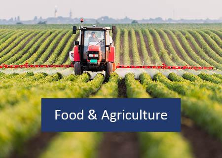 Food And Agriculture