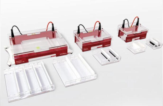 Electrophoresis and Blotting LAB Denmark